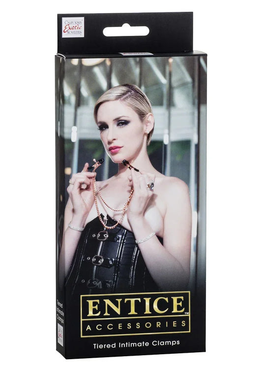 DeEnticeTieredIntimateClampszijneensetdesignertepelklemmenmetzachteencomfortabelekussentjes.2 @ Happytoys Sexshop: online sex shop for Feeling Happy & Easy π the erotic store owned by a woman
