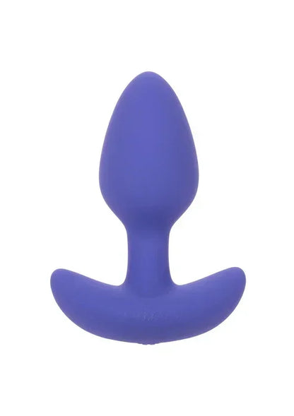 AppControledTaperedProbebyCalExotics1 @ Happytoys Sexshop: online sex shop for Feeling Happy & Easy 😊 the erotic store owned by a woman