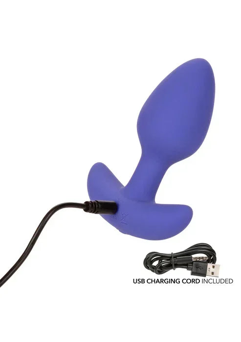 AppControledTaperedProbebyCalExotics4 @ Happytoys Sexshop: online sex shop for Feeling Happy & Easy 😊 the erotic store owned by a woman