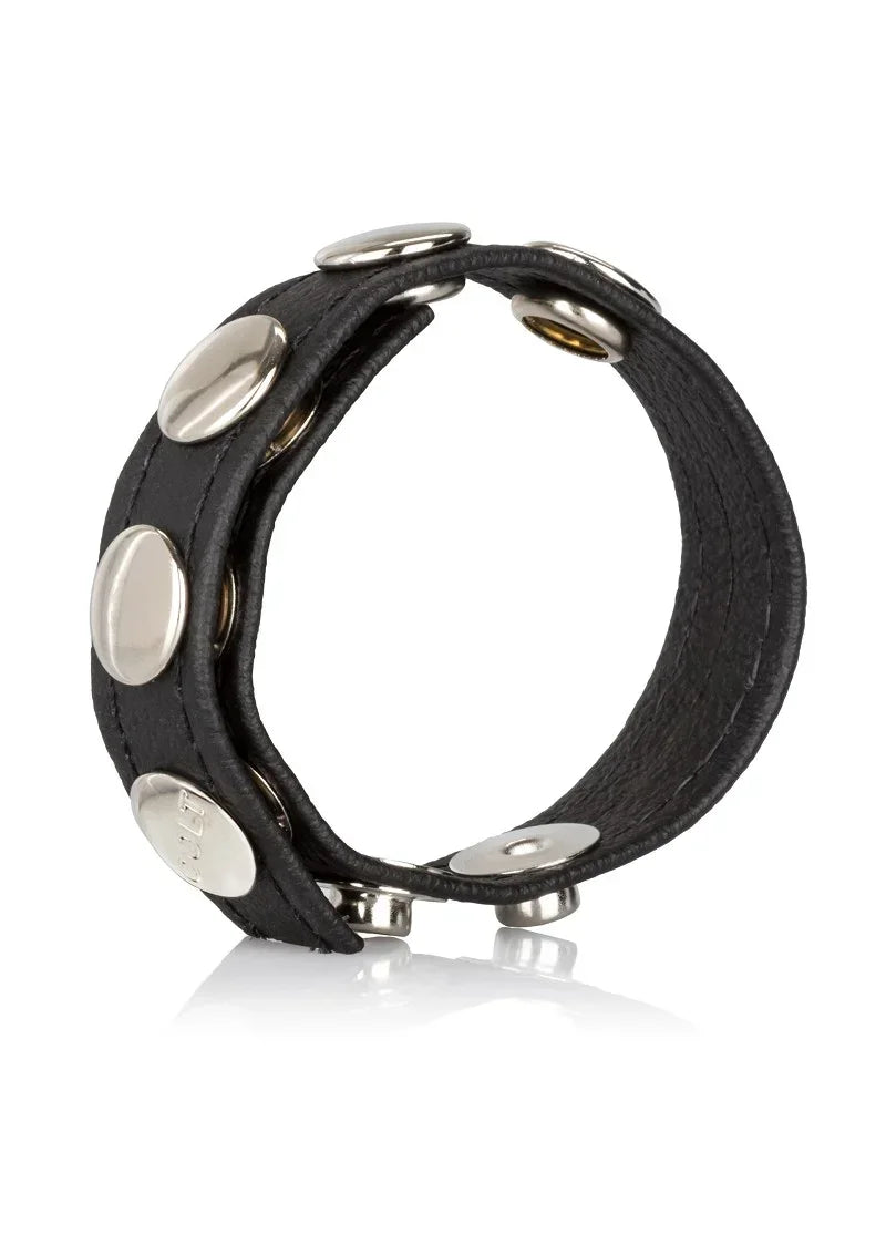 CalExotics-COLT-Leather-C-B-Strap-5-Snap-Fastener-Cock-Ball-ring-Happytoys-Sexshop-Toys-for-Feeling-Happy-Easy-1138 @ Happytoys Sexshop: online sex shop for Feeling Happy & Easy 😊 the erotic store owned by a woman