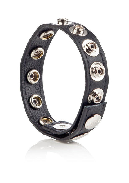CalExotics-COLT-Leather-C-B-Strap-8-Snap-Fastener-Happytoys-Sexshop-Toys-for-Feeling-Happy-Easy-3555 @ Happytoys Sexshop: online sex shop for Feeling Happy & Easy 😊 the erotic store owned by a woman