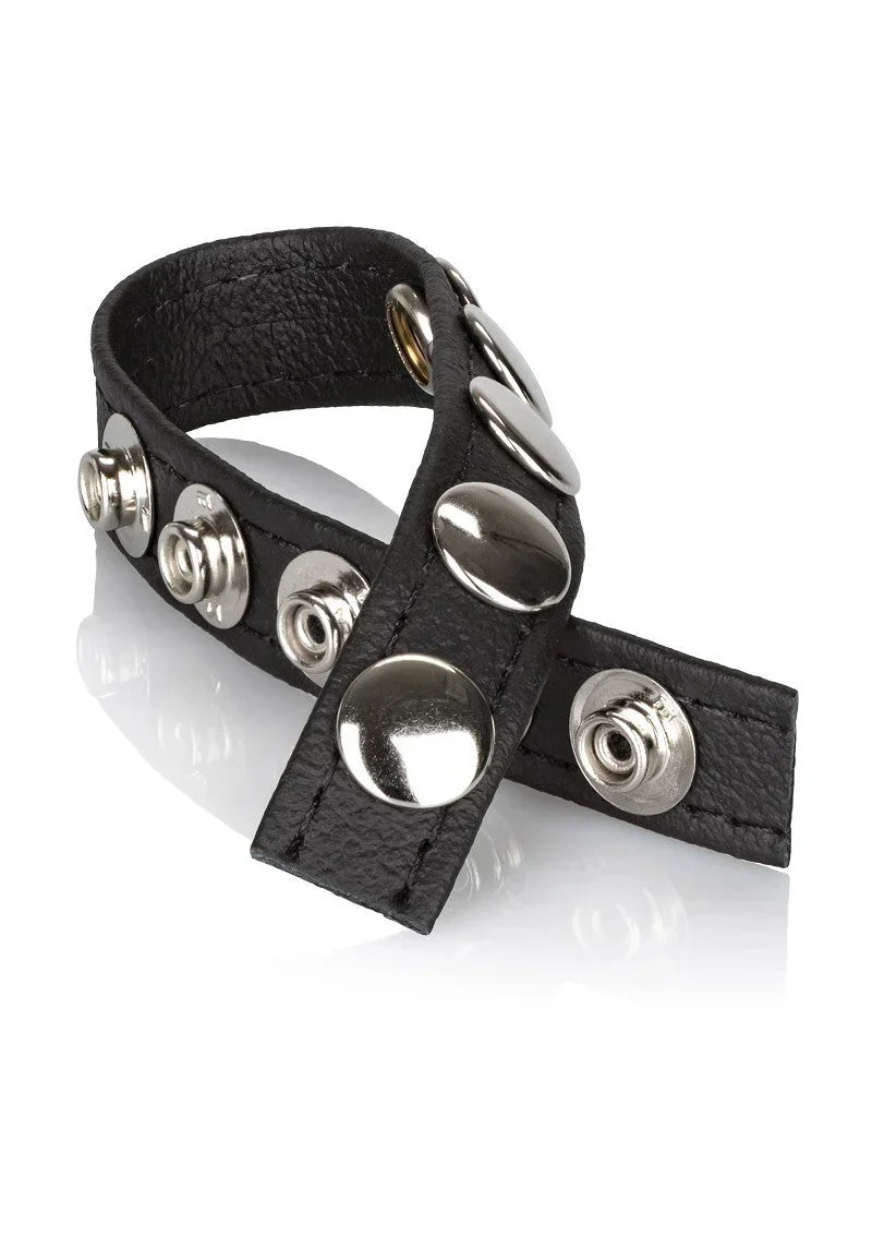 CalExotics-Leather-Multi-Snap-Ring-Happytoys-Sexshop-Toys-for-Feeling-Happy-Easy-2293 @ Happytoys Sexshop: online sex shop for Feeling Happy & Easy 😊 the erotic store owned by a woman