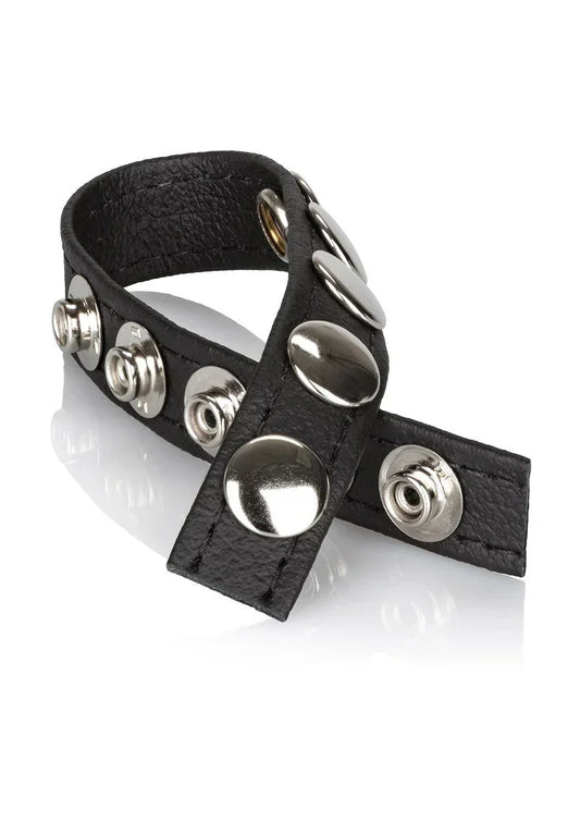 CalExotics-Leather-Multi-Snap-Ring-Happytoys-Sexshop-Toys-for-Feeling-Happy-Easy-2293 @ Happytoys Sexshop: online sex shop for Feeling Happy & Easy 😊 the erotic store owned by a woman
