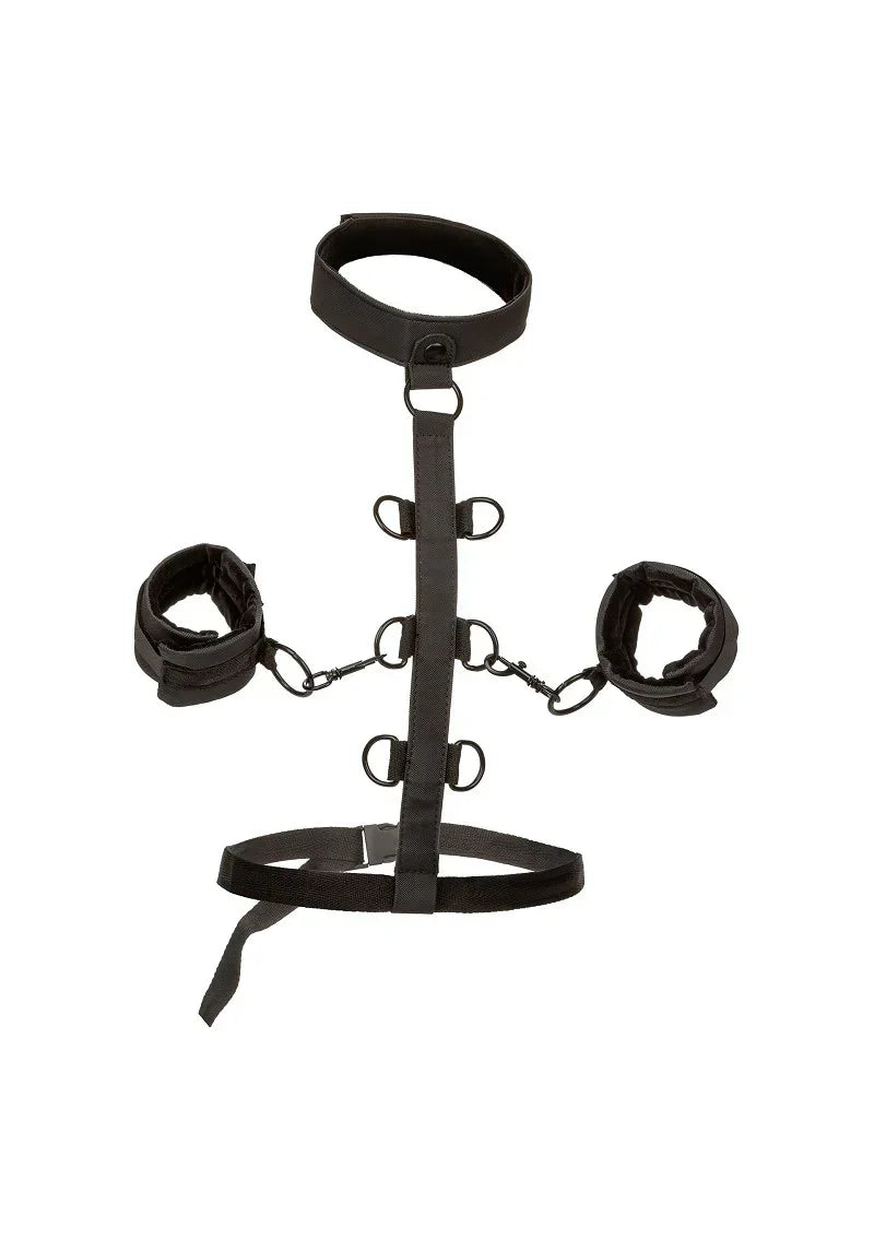 CalExoticsBoundlessCollarBodyRestraint1 @ Happytoys Sexshop: online sex shop for Feeling Happy & Easy 😊 the erotic store owned by a woman
