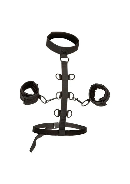 CalExoticsBoundlessCollarBodyRestraint1 @ Happytoys Sexshop: online sex shop for Feeling Happy & Easy 😊 the erotic store owned by a woman