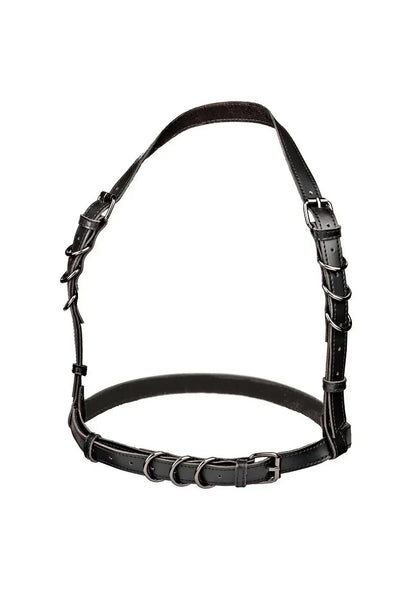 CalExoticsEuphoriaCollectionHalterBuckleHarness1 @ Happytoys Sexshop: online sex shop for Feeling Happy & Easy 😊 the erotic store owned by a woman