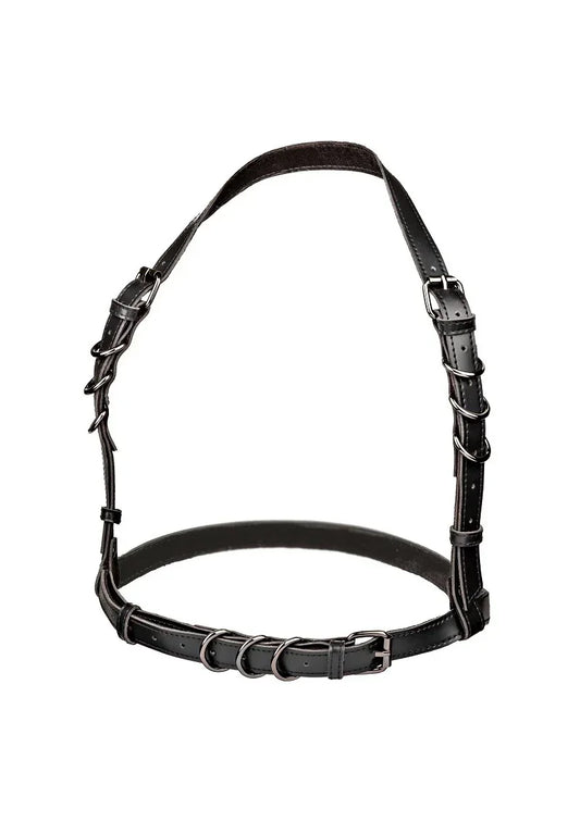 CalExoticsEuphoriaCollectionHalterBuckleHarness1 @ Happytoys Sexshop: online sex shop for Feeling Happy & Easy 😊 the erotic store owned by a woman