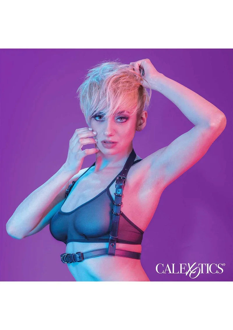 CalExoticsEuphoriaCollectionHalterBuckleHarness5 @ Happytoys Sexshop: online sex shop for Feeling Happy & Easy 😊 the erotic store owned by a woman