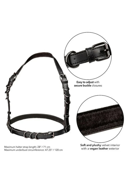 CalExoticsEuphoriaCollectionPlusSizeHalterBuckleHarness3 @ Happytoys Sexshop: online sex shop for Feeling Happy & Easy 😊 the erotic store owned by a woman