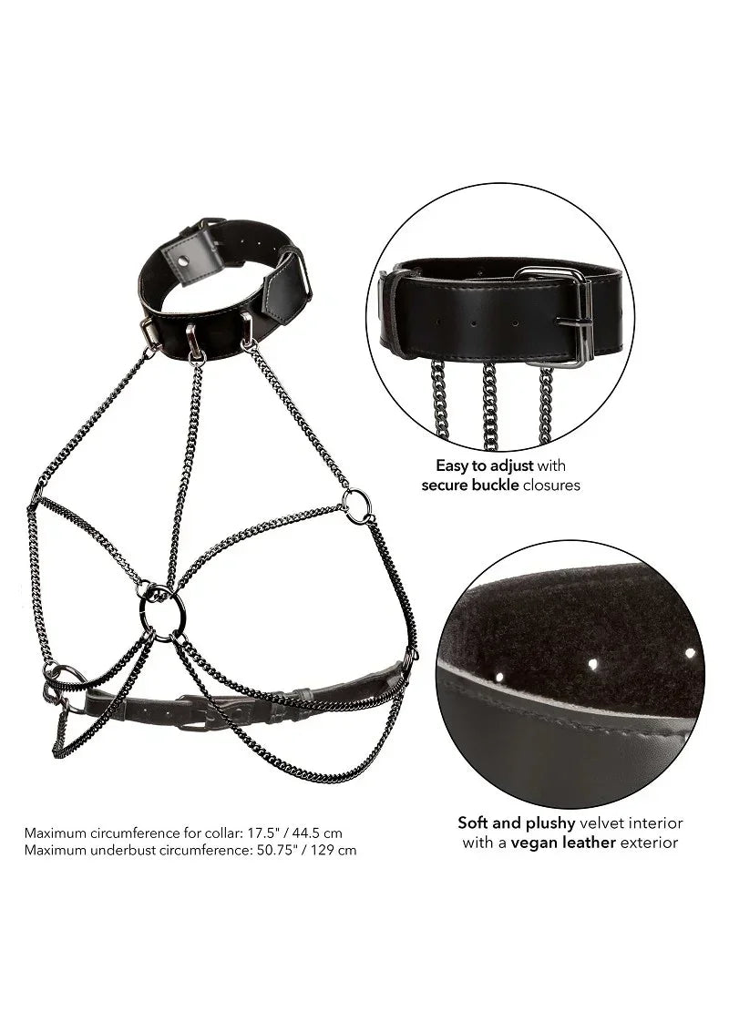 CalExoticsEuphoriaCollectionPlusSizeMultiChainCollarHarness3 @ Happytoys Sexshop: online sex shop for Feeling Happy & Easy 😊 the erotic store owned by a woman