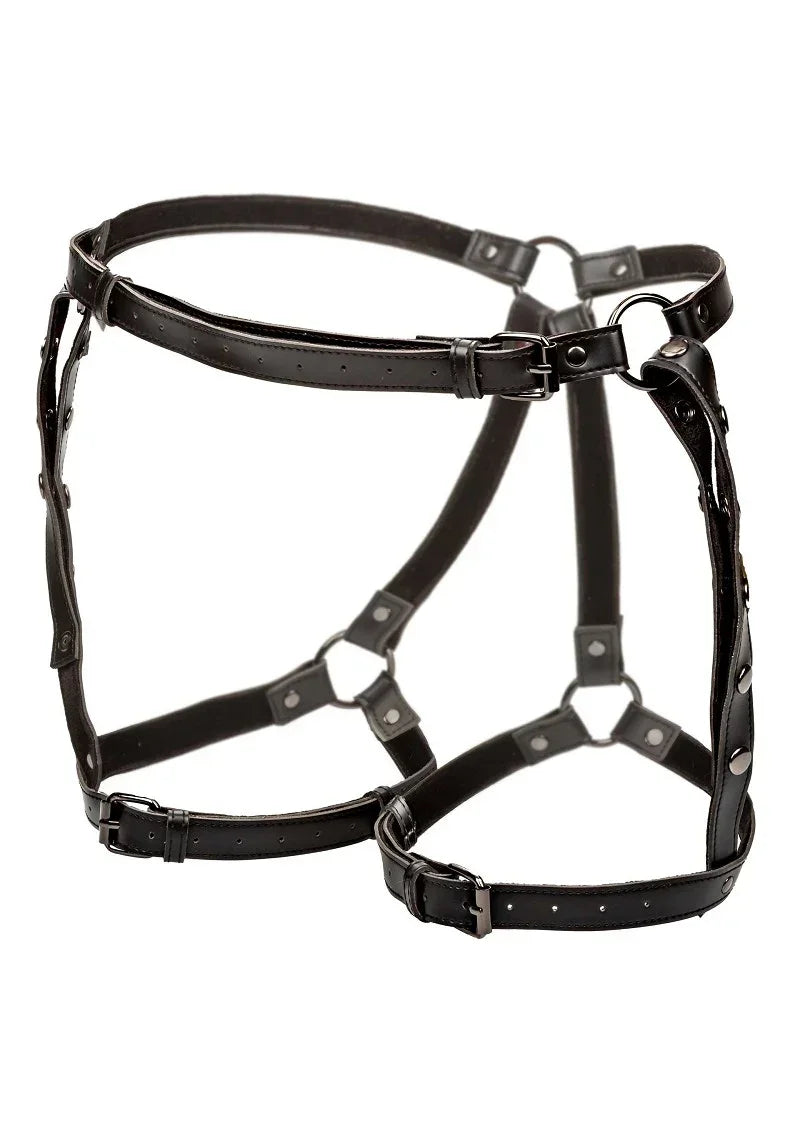 CalExoticsEuphoriaCollectionRidingThighHarness1 @ Happytoys Sexshop: online sex shop for Feeling Happy & Easy 😊 the erotic store owned by a woman