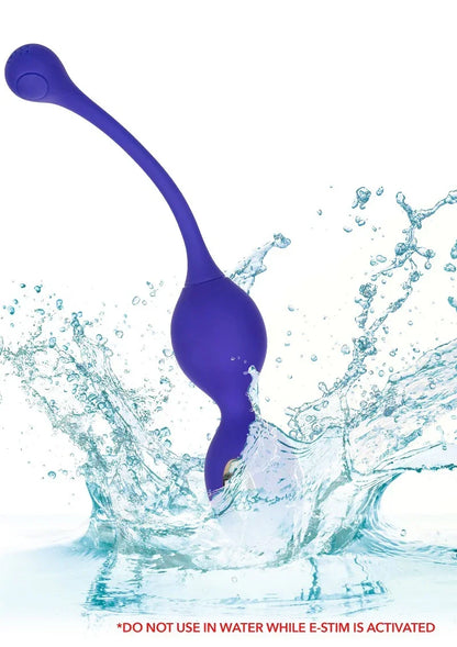 CalExoticsImpulseIntimateE-StimulatorRemoteDualKegelExerciser7 @ Happytoys Sexshop: online sex shop for Feeling Happy & Easy 😊 the erotic store owned by a woman
