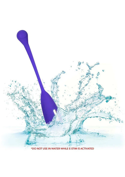 CalExoticsImpulseIntimateE-StimulatorRemoteKegelExerciser3 @ Happytoys Sexshop: online sex shop for Feeling Happy & Easy 😊 the erotic store owned by a woman