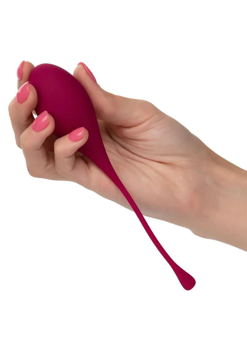 CalExoticsKegelTraining5-PieceSet6 @ Happytoys Sexshop: online sex shop for Feeling Happy & Easy 😊 the erotic store owned by a woman