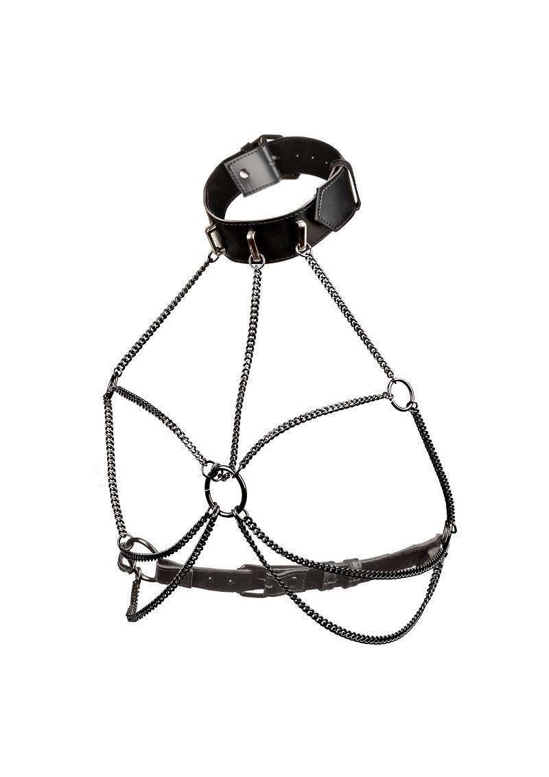 CalExotics_Euphoria_Collection_Multi_Chain_Collar_Harness_Happytoys_Sexshop_liever_Happy_dan_Easy_-3240480 @ Happytoys Sexshop: online sex shop for Feeling Happy & Easy 😊 the erotic store owned by a woman