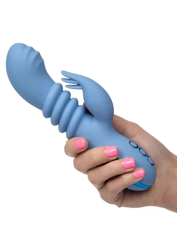 CaliforniaDreamingSantaCruz_CoasterbyCalExotics7 @ Happytoys Sexshop: online sex shop for Feeling Happy & Easy 😊 the erotic store owned by a woman