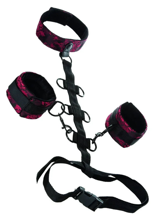 DeScandalCollarBodyRestraintiseenboeiensetmethalsband_speciaalontworpenvoorhetvastketenenvanjepartner.1 @ Happytoys Sexshop: online sex shop for Feeling Happy & Easy 😊 the erotic store owned by a woman