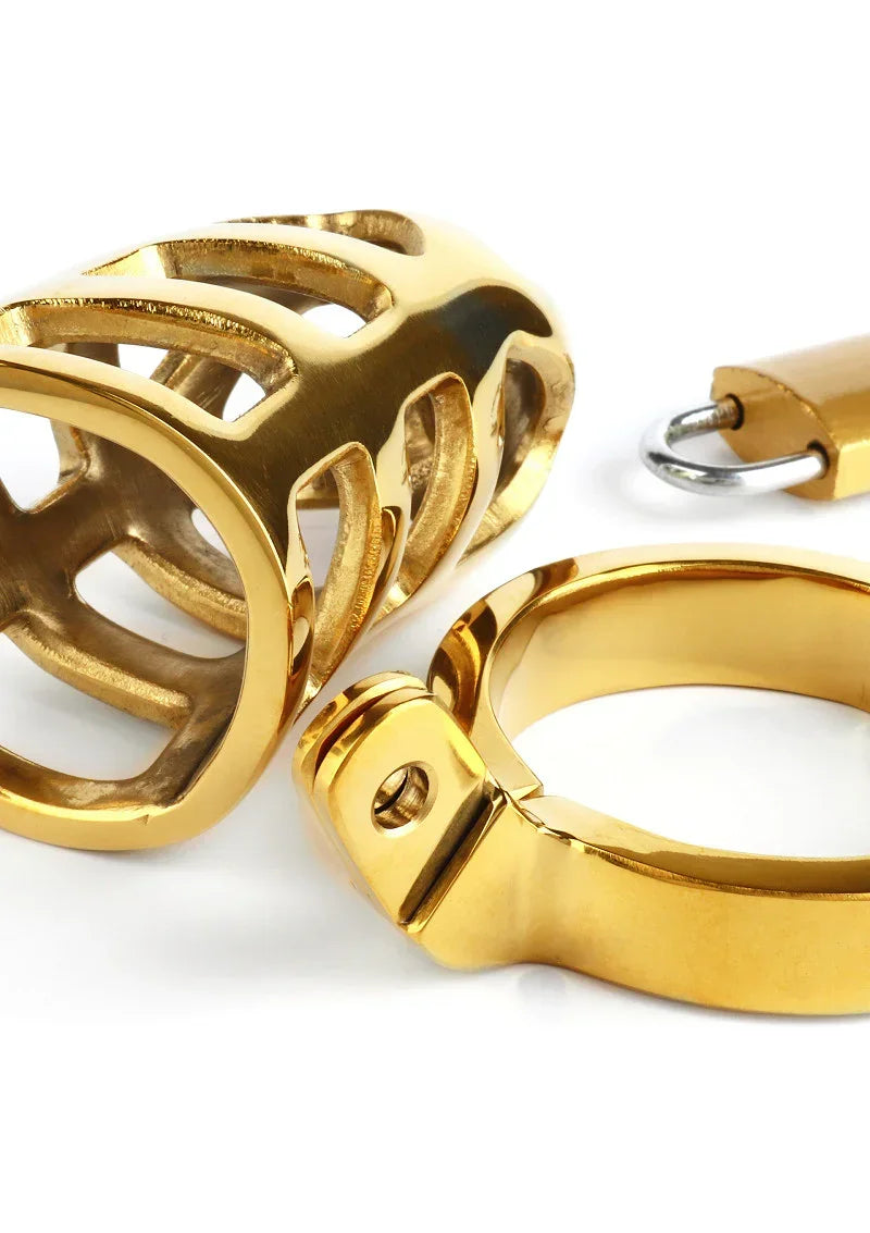 Mr.SteelBrutalChastityCageGold4 @ Happytoys Sexshop: online sex shop for Feeling Happy & Easy 😊 the erotic store owned by a woman