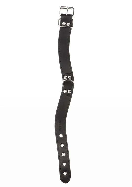 TaboomBondageEssentialsEleganteHalsbandenKettingriem5_9dd4dd3f-22ea-4959-b1ae-1af5018ce1ac @ Happytoys Sexshop: online sex shop for Feeling Happy & Easy 😊 the erotic store owned by a woman